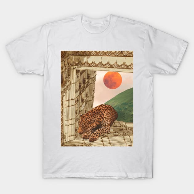 The king's bedchamber T-Shirt by Ali del sogno